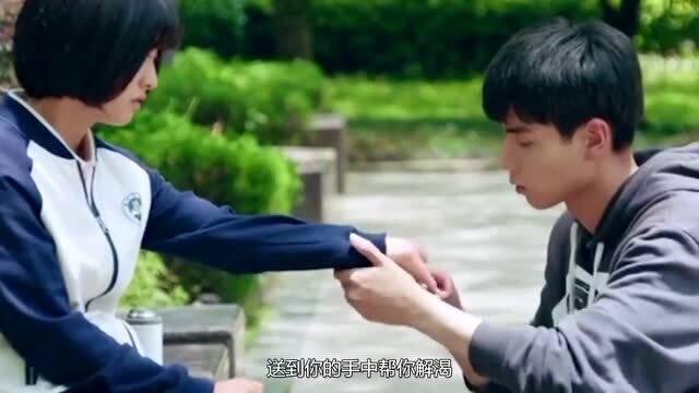 深入探索百度网盘共享资源-红迪网平台